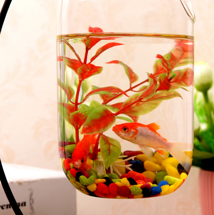 创意玻璃家居装饰悬挂水培花瓶摆件透明欧式浪漫艺术品鱼缸新款 鲁班优品 家居建材网 居家便民服务网上平台